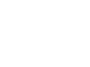 Logo MZ weiß-1